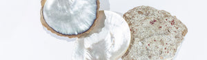 5 Ways Naker Pearl Powder Bridges Ancient Wisdom and Modern Wellness